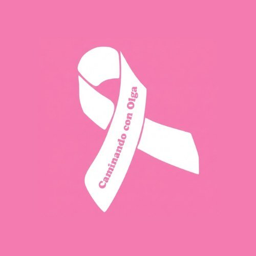 Logo de Caminando con Olga